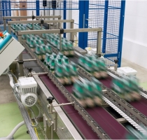 Pack conveyors